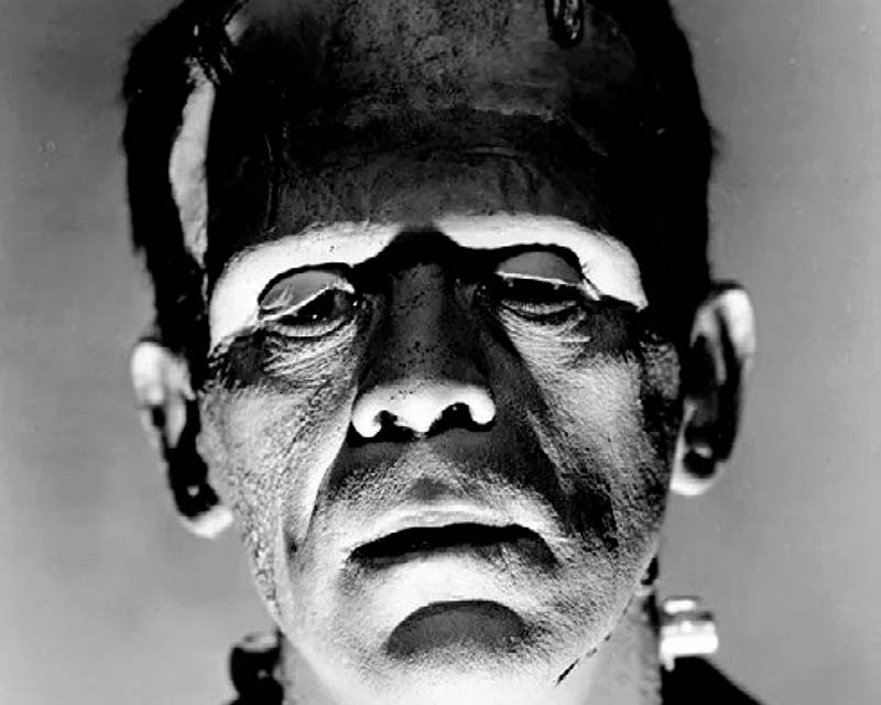 Frankenstein Frankenstein di James Whale